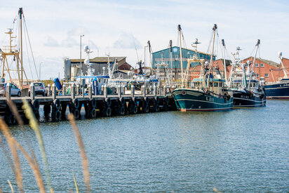 hvide-sande-havn