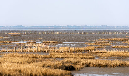 Ebbe und Flut prägen die Landschaft im Wattenmeer