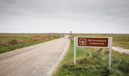 Nationalpark Wattenmeer bei Skallingen in Dänemark