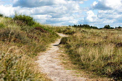 Henne-Strand-hede-vandrerute