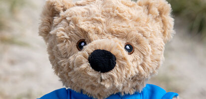 Bamse-mark-profilbillede