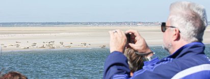 Seehundsafari Esbjerg-Fanø (Nordsee in Dänemark)