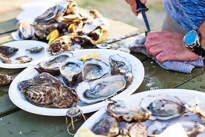 oesters-mad-danmark