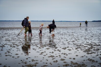 De skjulte dyr i Vadehavet billede