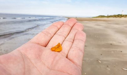 bernstein_finden_daenemark