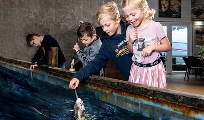 Jyllandsakvariet Hvide Sande