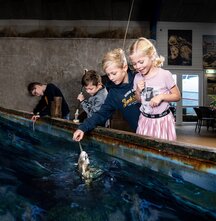 Jyllandsakvariet Hvide Sande 