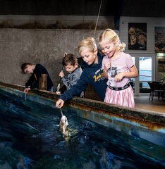 Jyllandsakvariet Hvide Sande 