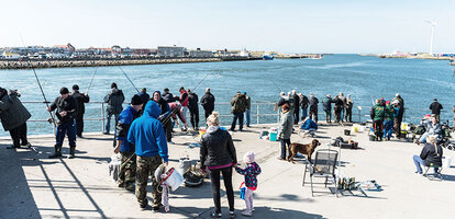 heringsfestival_hvide_sande