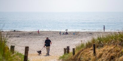 Sommerhus i uge 29 med hund ved stranden