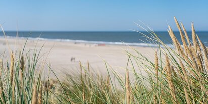 Sommerhus til 18 personer med pool - nyd stranden og naturen