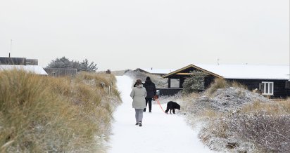 Ferienhaus mit Hund Silvester