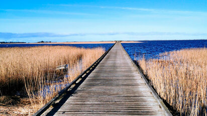 Weg nach Hindø am Stadil Fjord