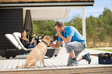 Sommerhus med hund
