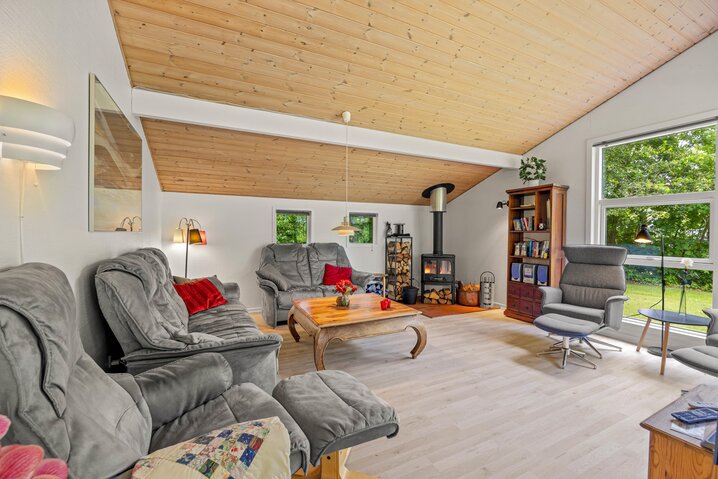 Ferienhaus 20061 in Sydskrænten 29, Jegum Ferieland - Bild #1