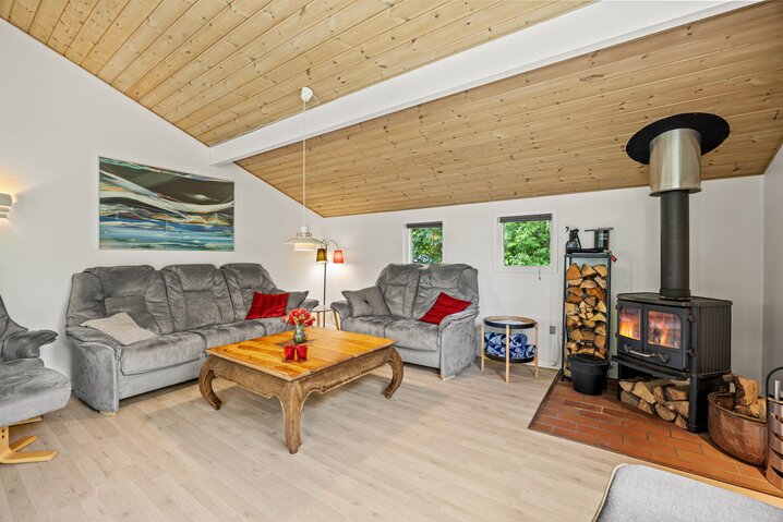 Sommerhus 20061 på Sydskrænten 29, Jegum Ferieland - Billede #4