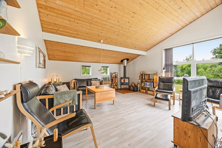 Ferienhaus 20061 in Sydskrænten 29, Jegum Ferieland - Bild #1