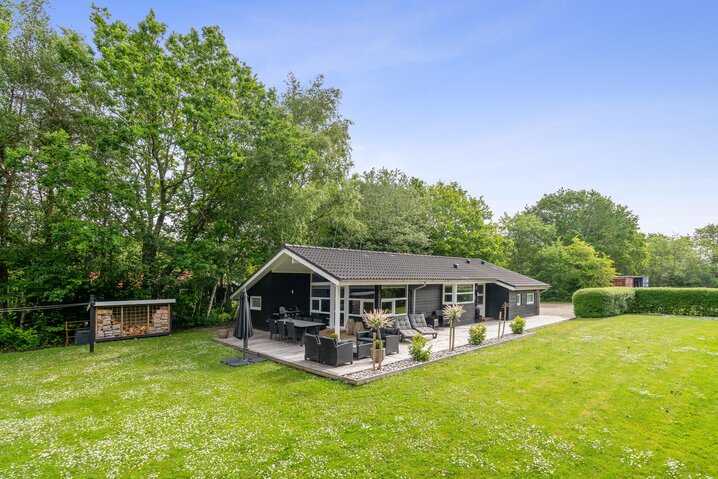 Ferienhaus 20096 in Blåbærvangen 18, Jegum Ferieland - Bild #0