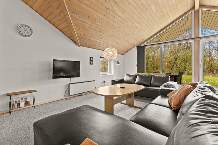 Sommerhus 20103 på Birkelunden 49, Jegum Ferieland - Billede #1