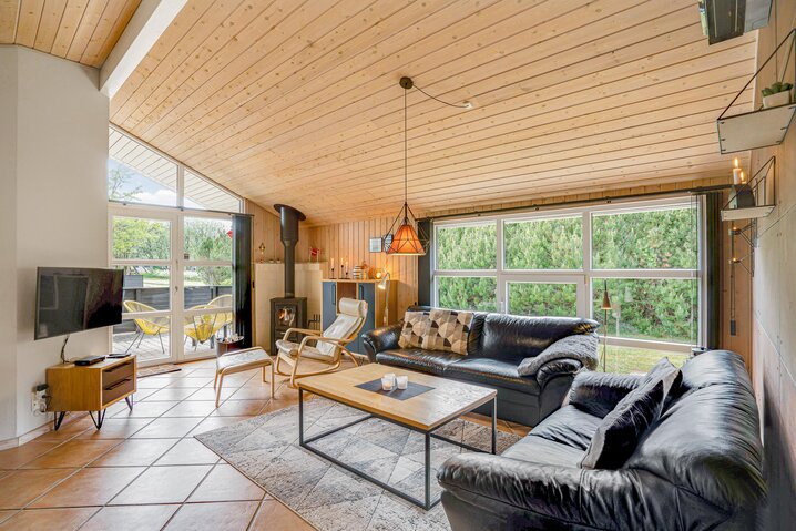 Ferienhaus 20163 in Egelunden 13, Jegum Ferieland - Bild #1