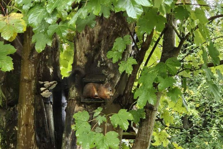 Sommerhus 20313 på Nordskrænten 7, Jegum Ferieland - Billede #28