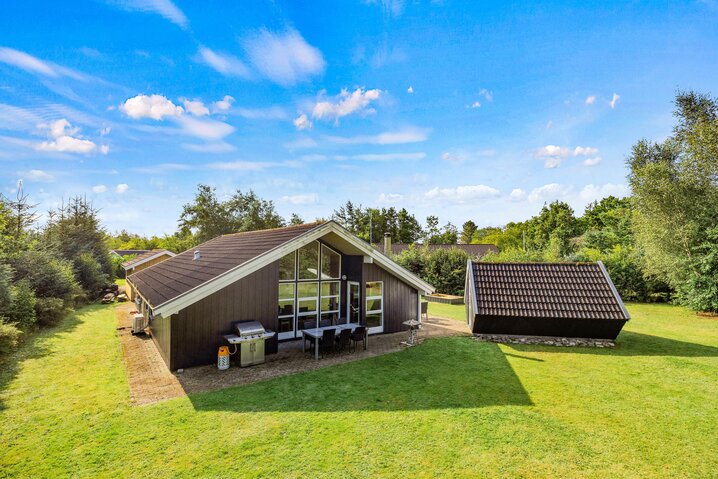 Ferienhaus 20685 in Brombærvangen 8, Jegum Ferieland - Bild #0