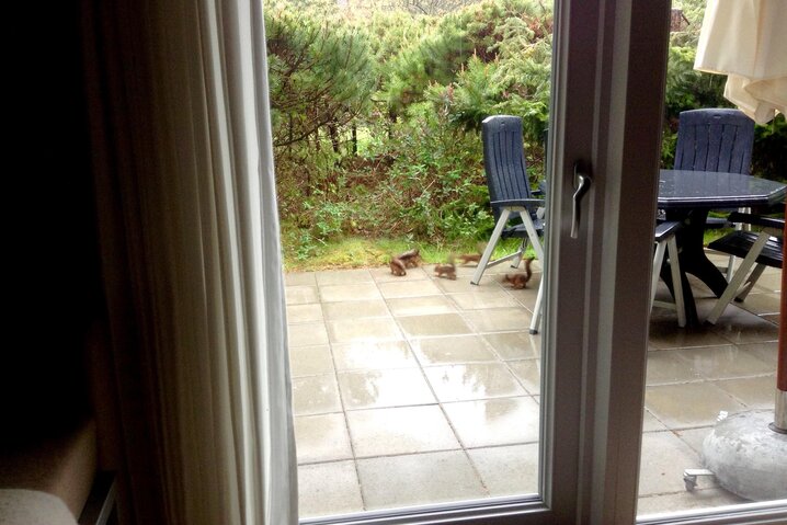 Sommerhus 30002 på Rohdesvej 16, Houstrup - Billede #33