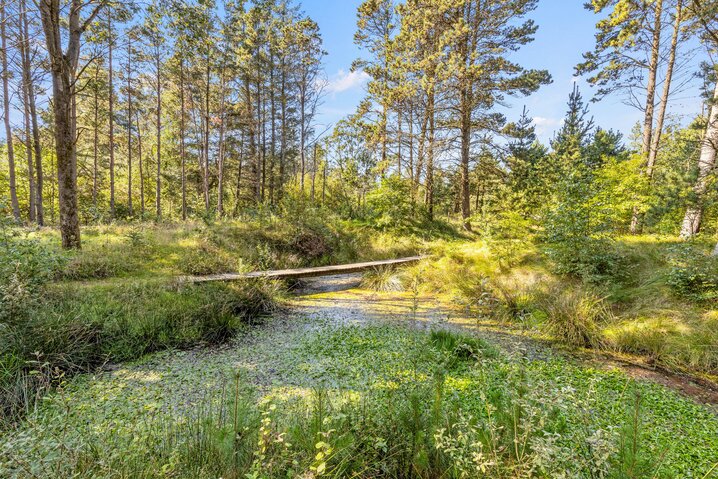 Sommerhus 30037 på Ndr. Skovvej 26, Houstrup - Billede #39