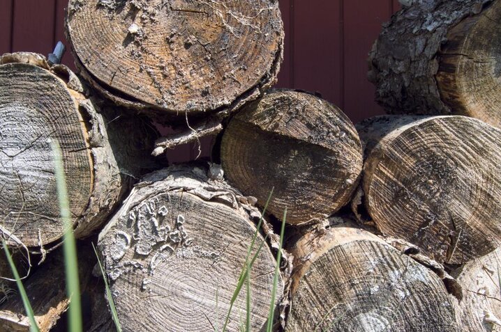 Ferienhaus 30131 in Sdr. Skovvej 17, Houstrup - Bild #26