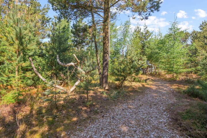 Ferienhaus 30145 in Peder Larsensvej 3, Houstrup - Bild #24