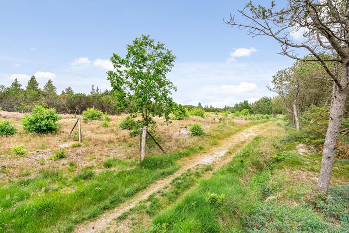 Sommerhus 30167 på Ndr. Skovvej 20, Houstrup - Billede #36