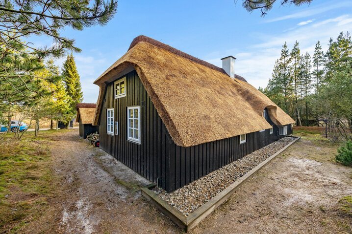 Ferienhaus 30169 in Hedevang 39, Houstrup - Bild #27