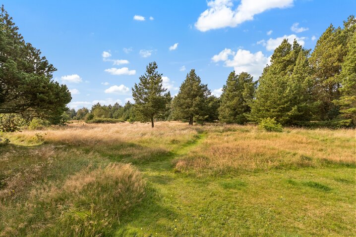 Ferienhaus 30202 in Sdr. Skovvej 1, Houstrup - Bild #28