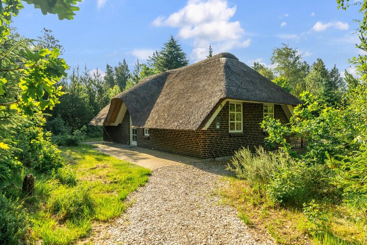 Ferienhaus 30289 in Højsvej 43, Houstrup - Bild #28