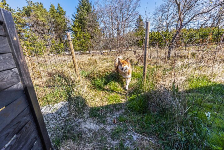Ferienhaus 30311 in Skelvejen 11, Houstrup - Bild #30