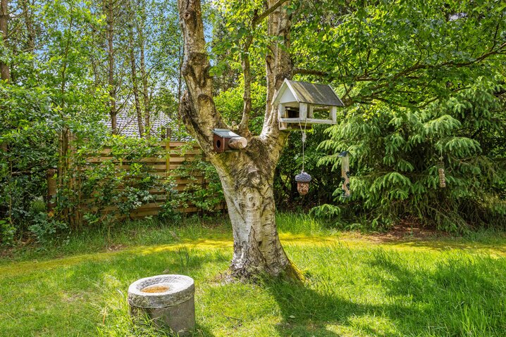 Ferienhaus 30326 in Hedevang 34, Houstrup - Bild #31