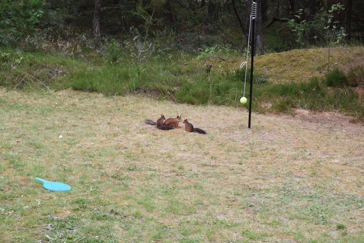 Ferienhaus 30334 in Højsvej 10, Houstrup - Bild #35