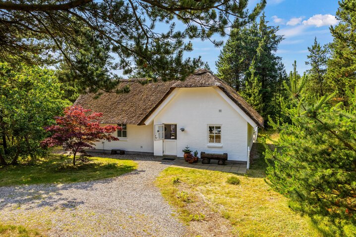 Ferienhaus 30338 in Højsvej 11, Houstrup - Bild #2