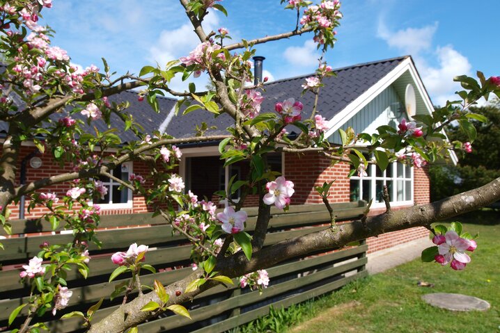 Ferienhaus 30402 in Kirkeflod 102, Houstrup - Bild #25