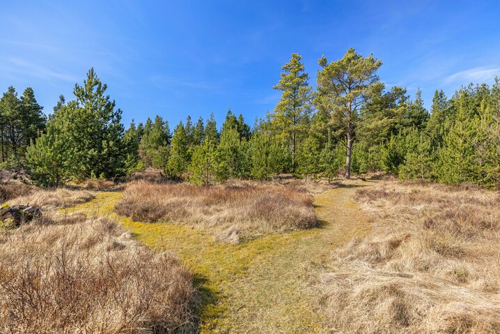 Sommerhus 30477 på Guldvangen 74, Houstrup - Billede #27