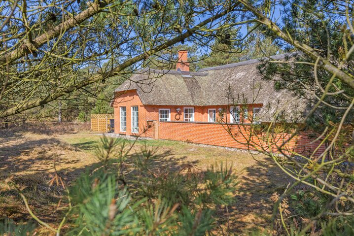Ferienhaus 30499 in Kirkeflod 85, Houstrup - Bild #22