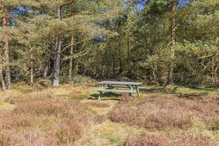 Ferienhaus 30499 in Kirkeflod 85, Houstrup - Bild #32