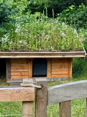 Sommerhus 30615 på Skovvej 29, Houstrup - Billede #26