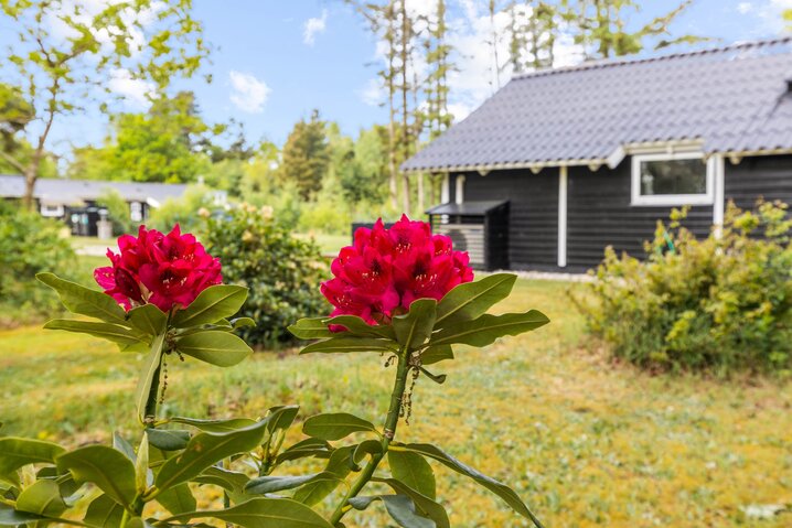 Sommerhus 30634 på Engvejen 9, Houstrup - Billede #32