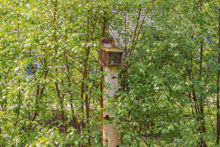 Ferienhaus 30645 in Vestervang 45, Houstrup - Bild #32