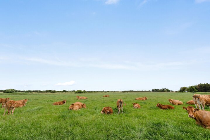 Ferienhaus 30690 in Vesterhavsvej 60, Houstrup - Bild #33