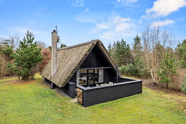 Ferienhaus 30740 in Ndr. Skovvej 28, Houstrup - Bild #0