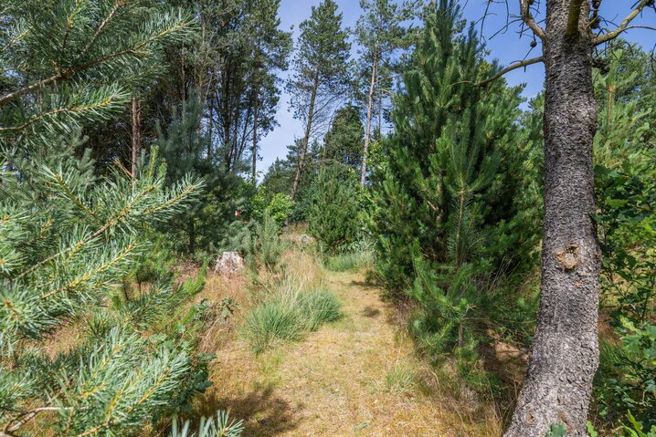 Sommerhus 33003 på Guldvangen 28, Houstrup - Billede #27