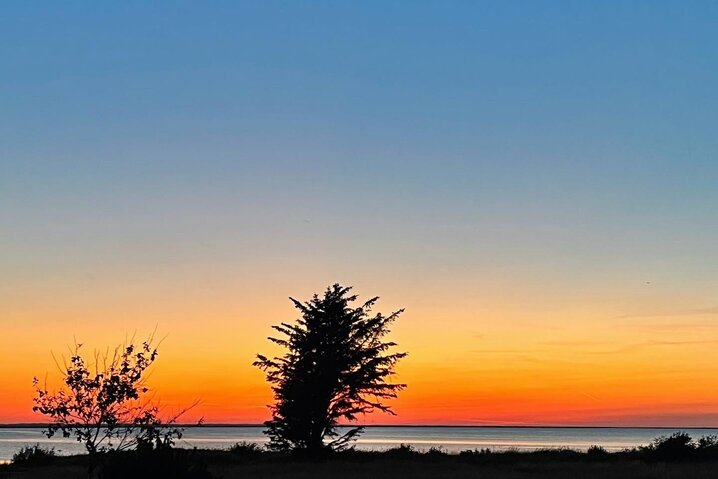 Ferienhaus 35048 in Husfold 65, Bork Havn - Bild #19