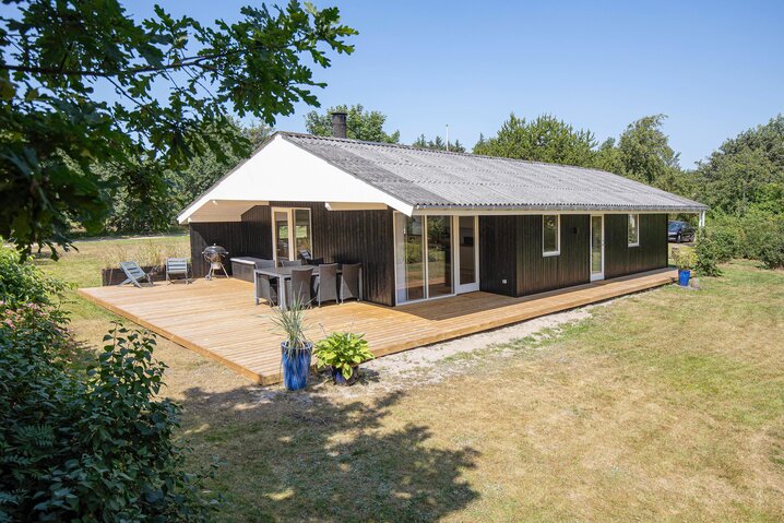 Ferienhaus 35063 in Horsfold 169, Bork Havn - Bild #35
